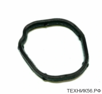 Прокладка системы охлаждения двигателя GM 55562045