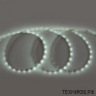 Лента светодиодная комплект 5м, 6500K, б/п 24W, 300LED 60Led/m, 4.8W/m IP20 GLS-2835-60-4,8-PRO General