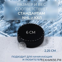 Шайба хоккейная 6 см