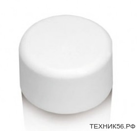 ПП Заглушка d25 мм (Ever Plast)